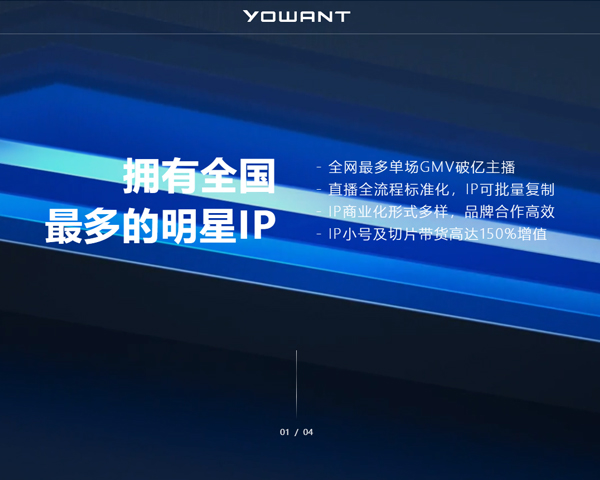 遥望科技公司网站定制开发